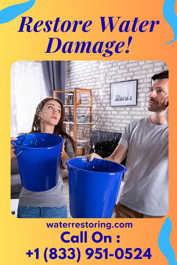 water restoration Hawk Water Damage LLC Freeland